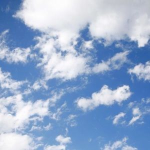 Meet your Posher, Rylee